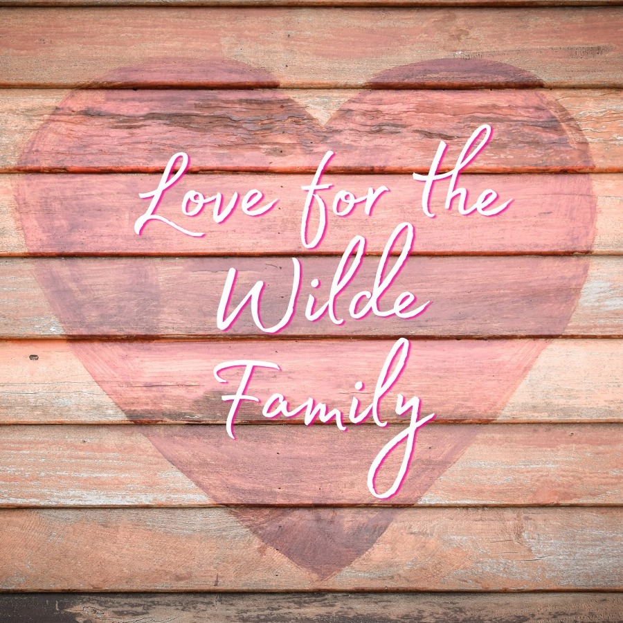 Love for the Wilde Family - Give InKind, image size:900x900