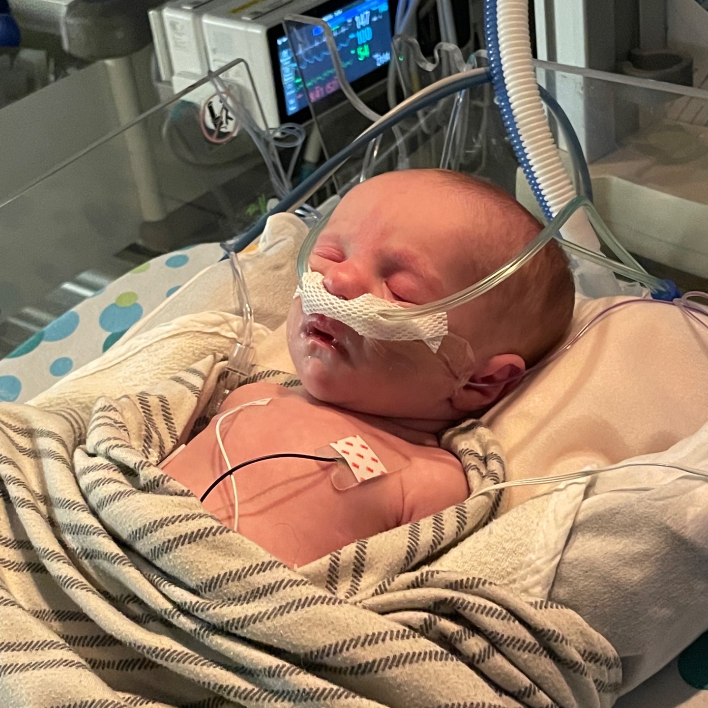 Support the VanRoekels on Baby Addi’s Journey - Give InKind