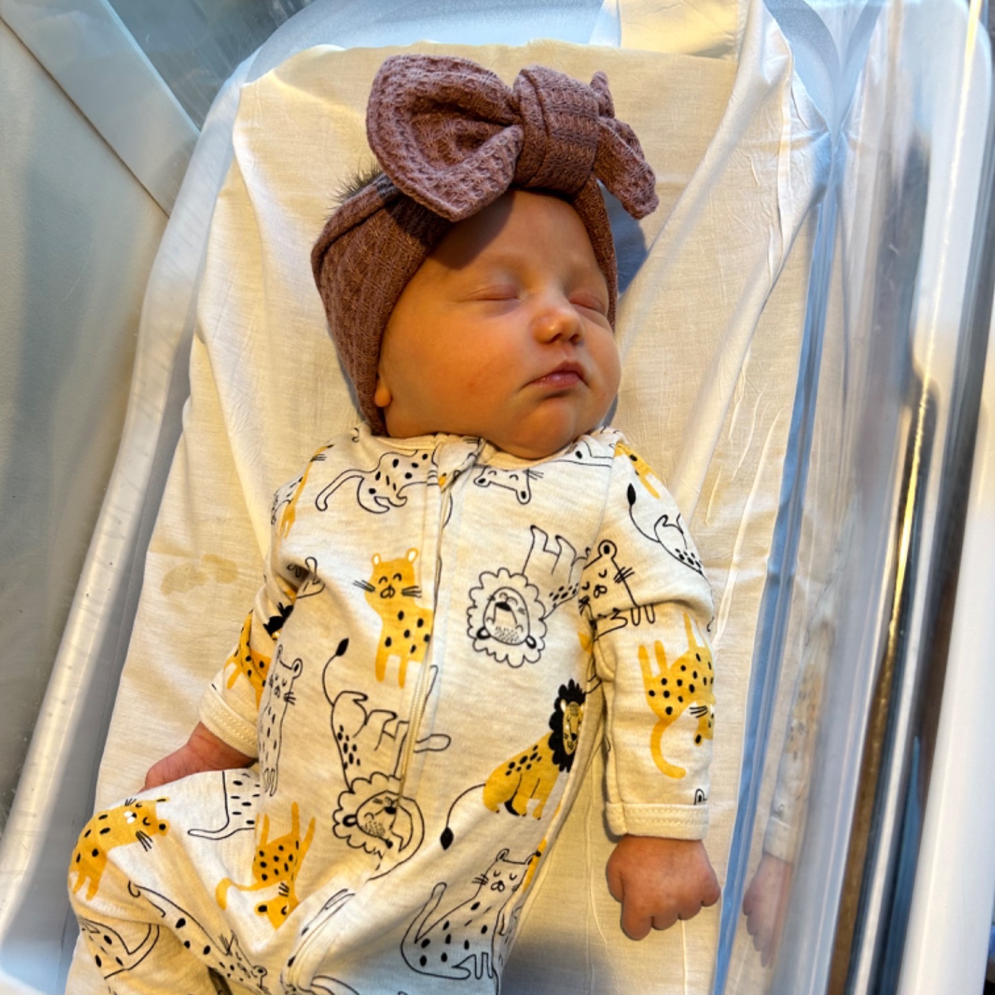 TTF Katie + Tom + baby Frankie Meal Train Give InKind